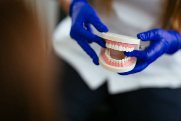  Willis, TX Holistic Dental Services Pros